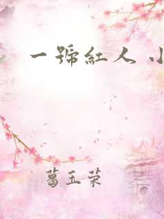 一号红人 小说