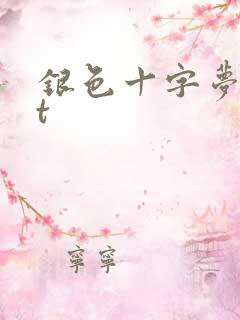 银色十字梦txt