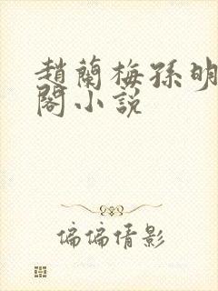 赵兰梅孙明笔趣阁小说