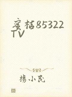 蜜桔85322TV