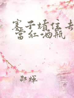 塞子堵住去上学 当红酒瓶