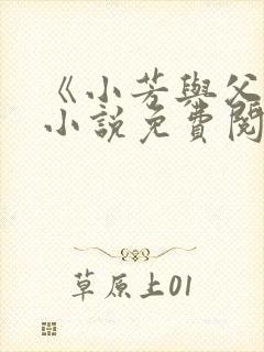 《小芳与父亲》小说免费阅读