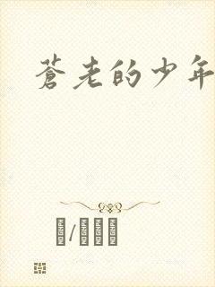 苍老的少年