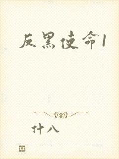 反黑使命1
