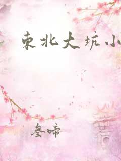 东北大坑小说
