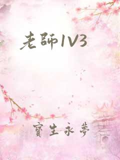 老师1V3