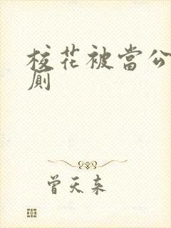 校花被当公共精厕