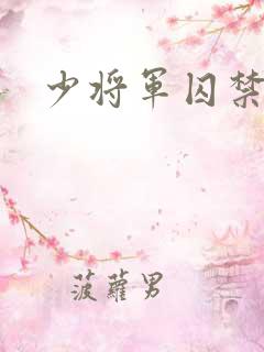 少将军囚禁我