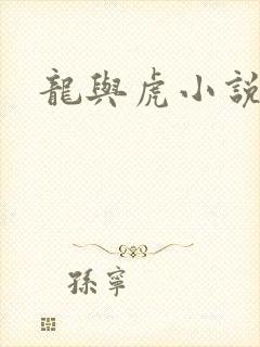 龙与虎小说