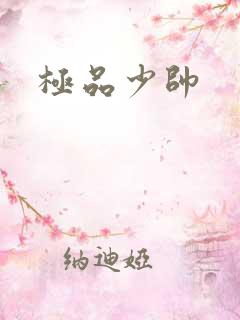 极品少帅