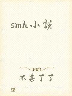 smh小说