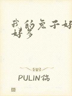 我的兔子好软水好多