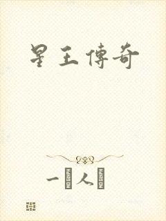 星王传奇