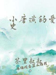 小唐璜的爱情历史