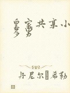 皇家共享小公主多男