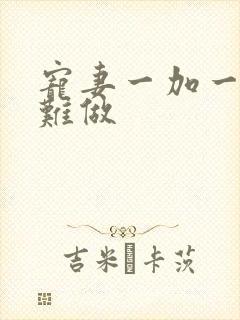 宠妻一加一老婆难做