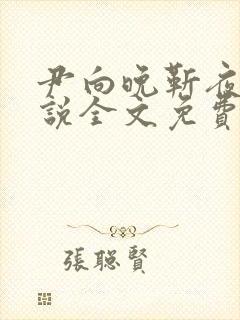 尹向晚靳夜擎小说全文免费阅读无弹窗