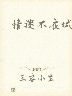 情迷不夜城