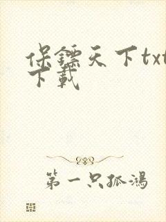 保镖天下txt下载