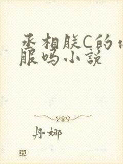 丞相朕C的你舒服吗小说
