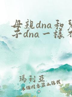 母亲dna和儿子dna一样不