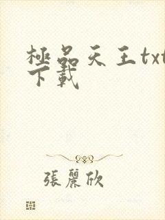 极品天王txt下载