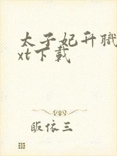 太子妃升职记txt下载