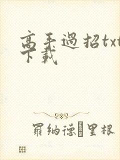 高手过招txt下载