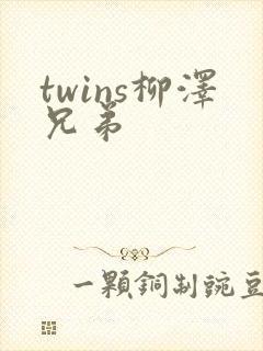 twins柳泽兄弟