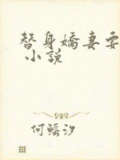 替身娇妻要离婚 小说