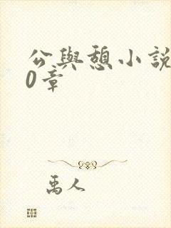 公与憩小说400章