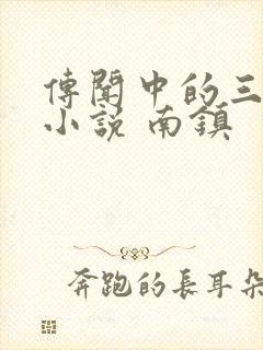 传闻中的三公主小说 南镇