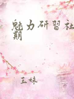 魅力研习社43期