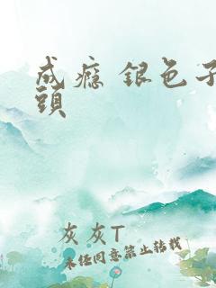 成瘾 银色子弹头