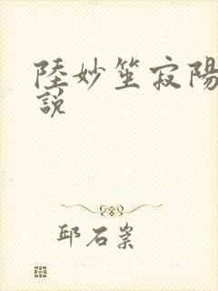 陆妙笙寂阳朔小说