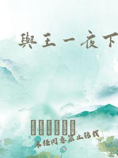 与王一夜下载