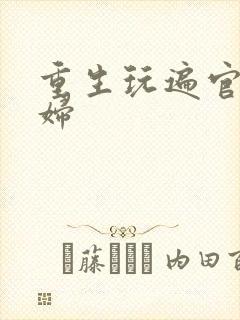 重生玩遍官场贵妇