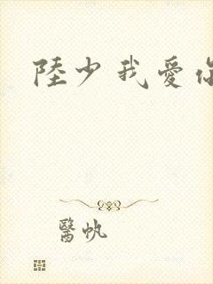 陆少 我爱你