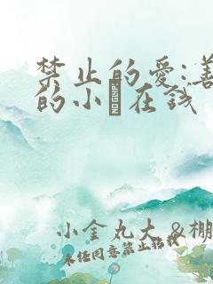 禁止的爱:善良的小峓在钱