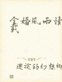 金婚风雨情 下载