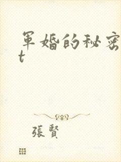 军婚的秘密txt