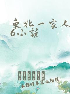 东北一家人1一6小说