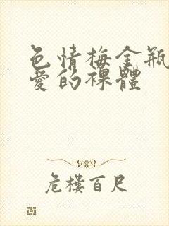 色情梅金瓶2之爱的裸体