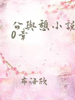 公与憩小说400章