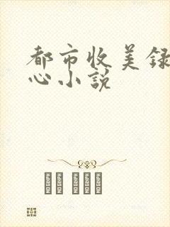 都市收美录宁素心小说