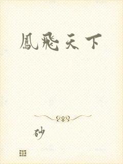 凤飞天下