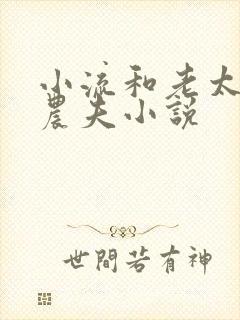 小流和老太69农夫小说