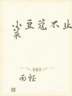 小豆蔻不止是颗菜