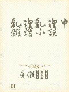 乱理乱理中文大杂烩小说