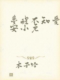 梦醒不知爱欢凉安小免